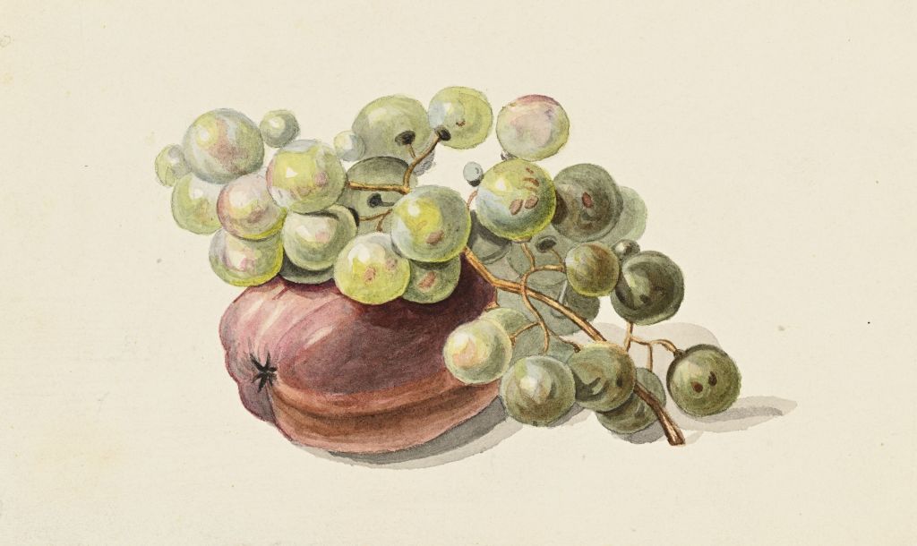 NÄDALA TEOS: Sophie Julie von Ungern-Sternberg Karl August Senffi järgi. Õun ja viinamarjakobar (1840)